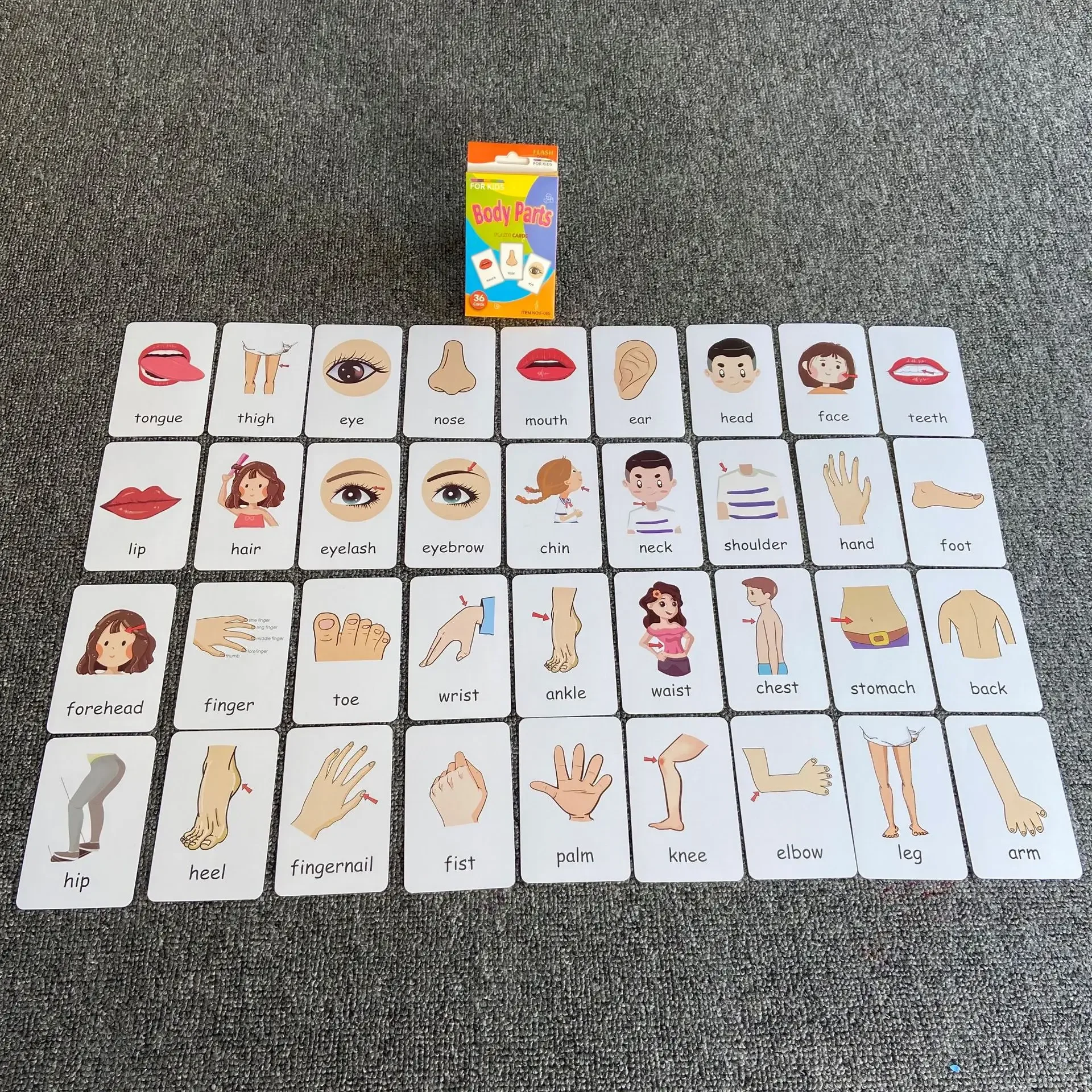 Children's Early Physical Cognition English Word Education Card  Animal Fruits Flashcards Montessori Baby Kids Early Educational 6