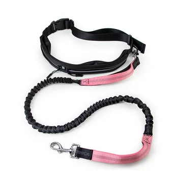 Hands-Free Multifunctional Dog Leash 1