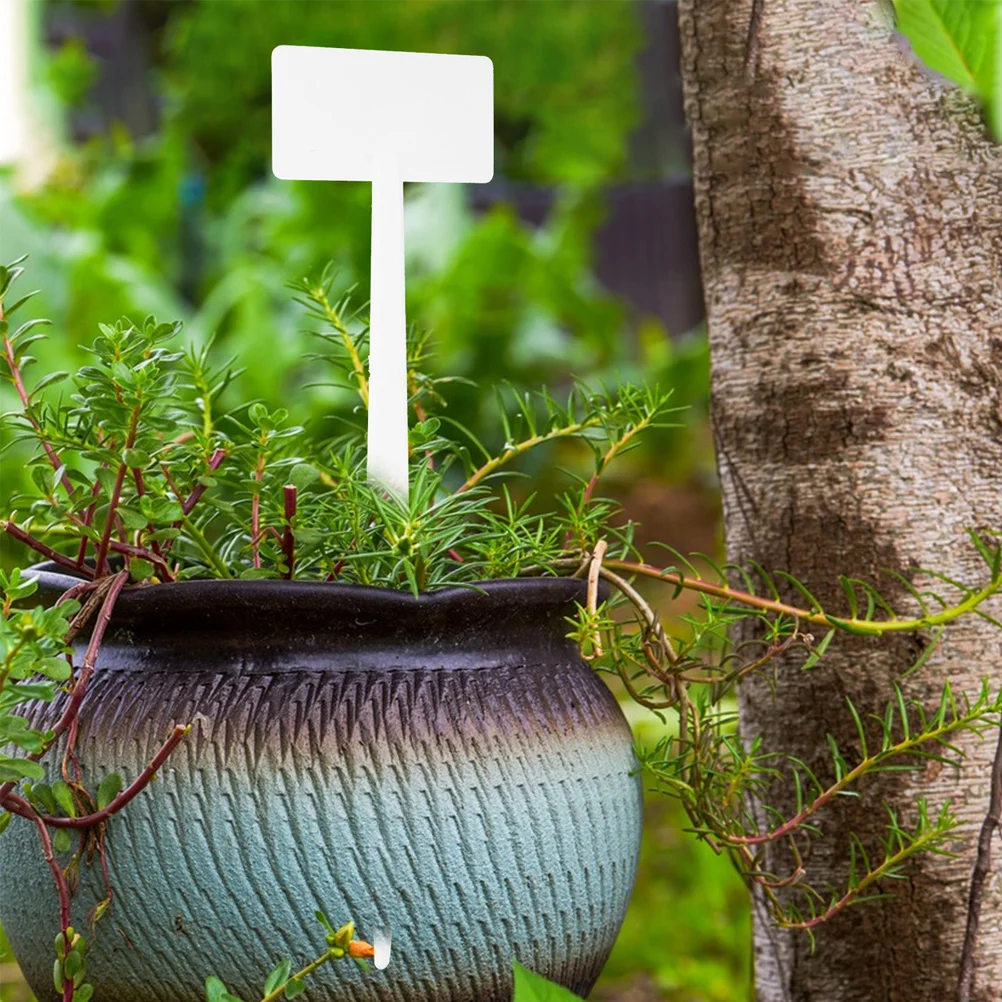 

Gardening Signage Simple Plant Labels Identify Marker Plastic Tag Perlite for Plants