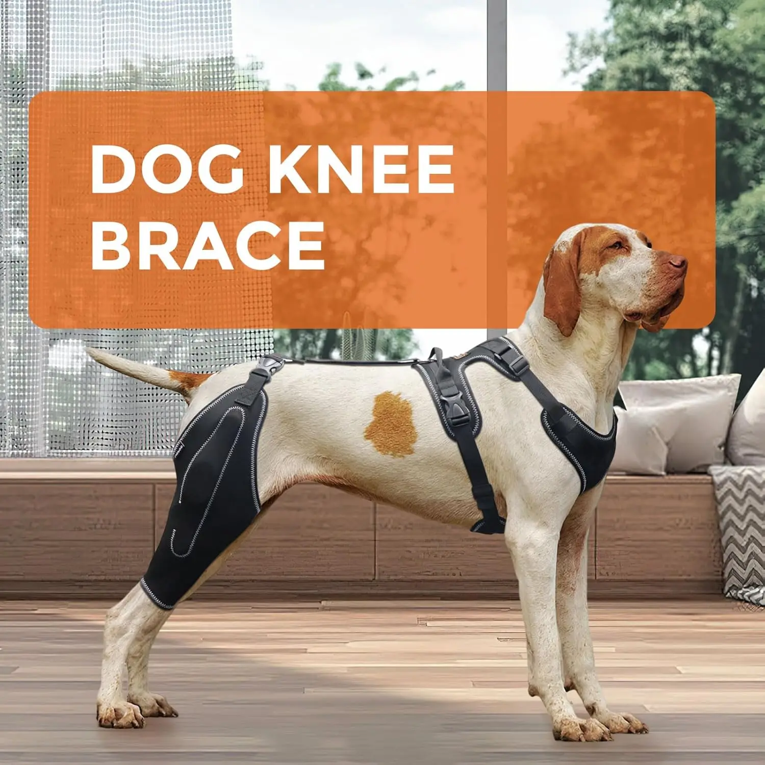 Dog Acl Knee Brace for Torn Acl Leg Dog Knee Braces for Back Leg Warm Joint and Relieves Joint Pain Better Recovery