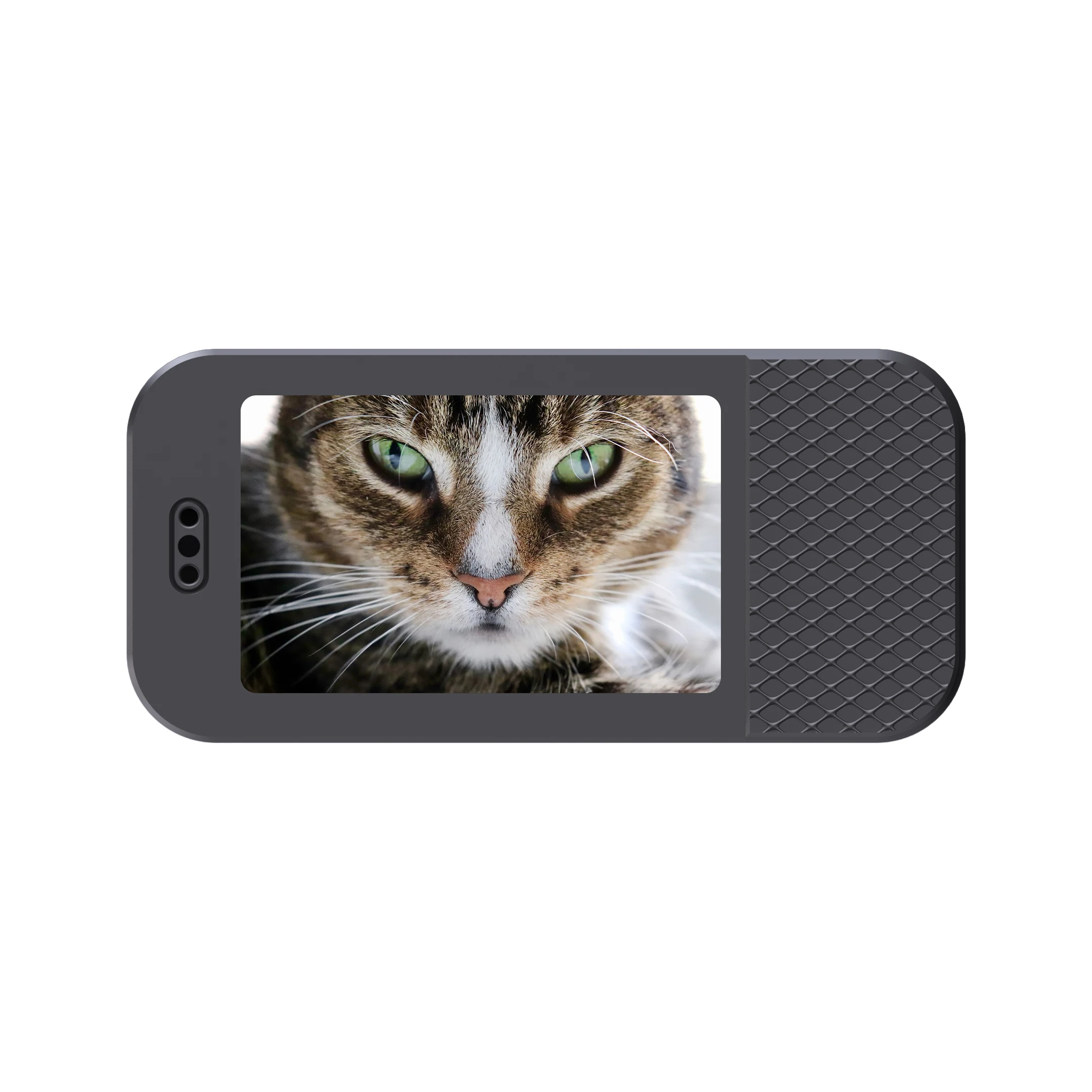 HD 1080P Pet Cameras Outdoors Wireless Collar Camera No WiFi Needed Video Records for Cats Dogs Birthday Gift Mini Camera 3