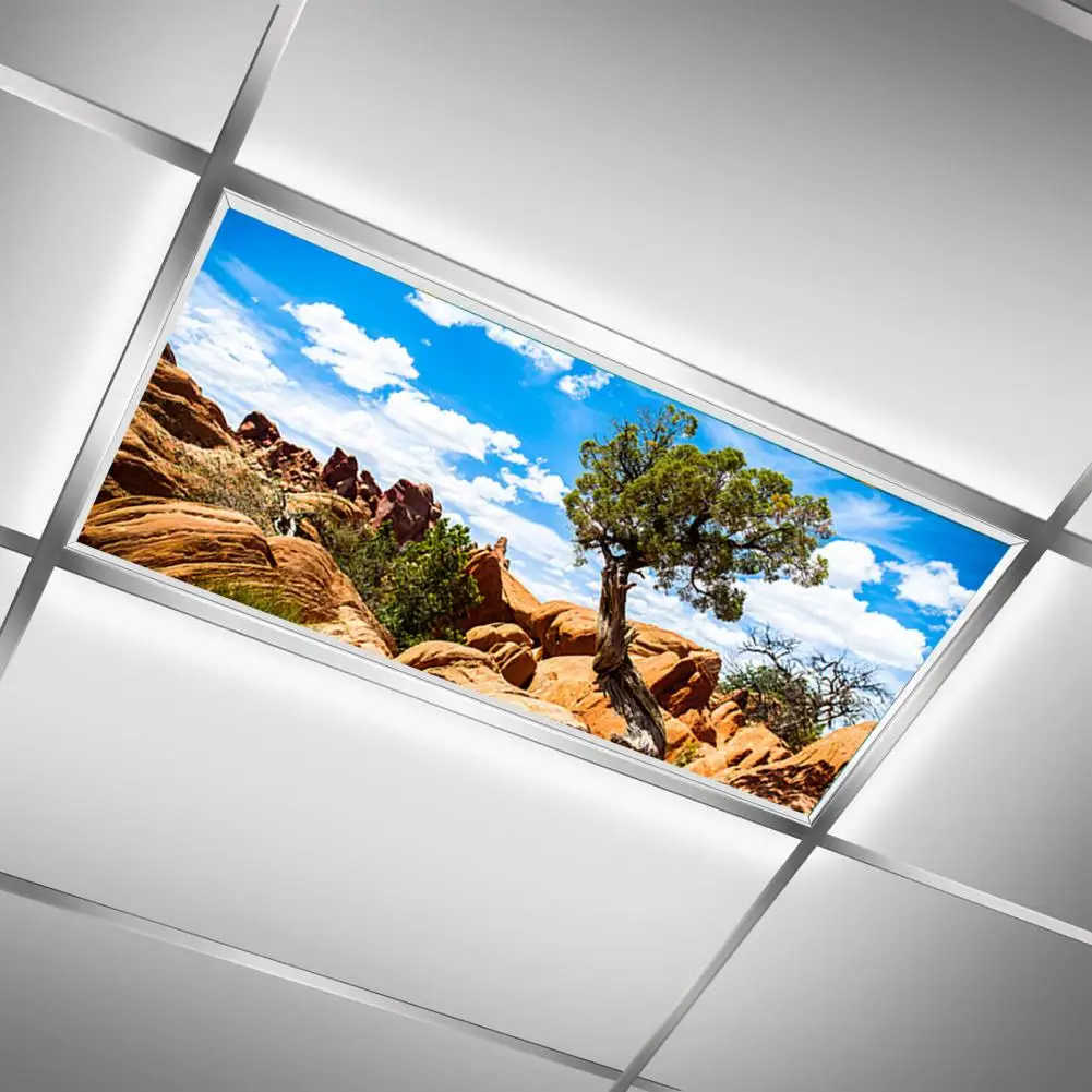 

Ceiling Light Filter Magnetic Fluorescent Light Cover Exquisite Pattern Easy Installation Enhance Ceiling with 10 Magnets