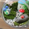 Hydroponic Plant Glass Vase Borosilicate Glass Bottle Succulent Plant Terrarium Container Flower Pots Home Wedding Decor 4