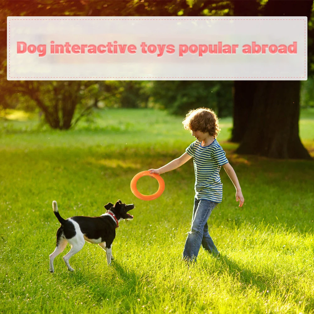 Dog Training Ring 3
