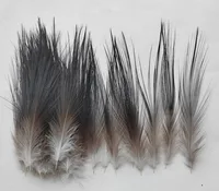 50Pcs Natural Colour Heron Feathers 4-8" 10-20cm 1