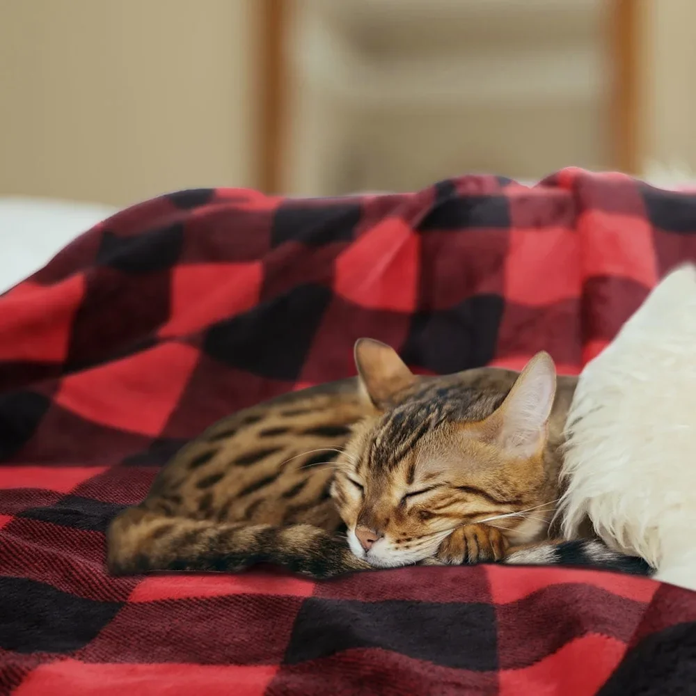 Soft Plaid Warm Throw 3