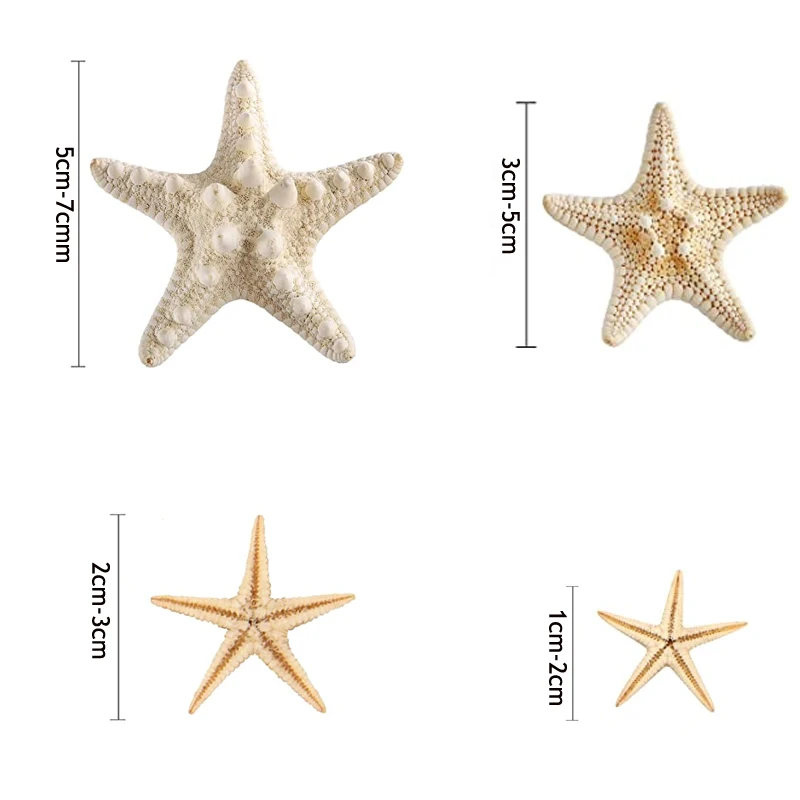 Natural Shell Ornaments Sea Shells Mini Starfish Craft Decoration 5/25/50/100 pcs