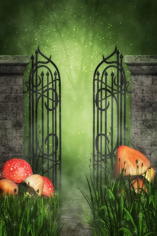 Book Backdrop Yeele 10x8ft Once Upon A Time Backdrop Spring Enchanted Mushroom Forest... Little Red Riding Hood Backdrop-462462