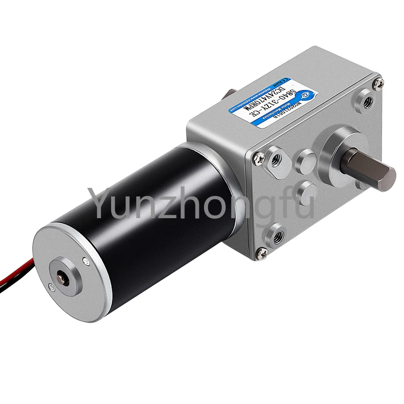 

5840-31ZYS mini turbo worm DC geared motor low speed regulation small motor 12v24v double shaft