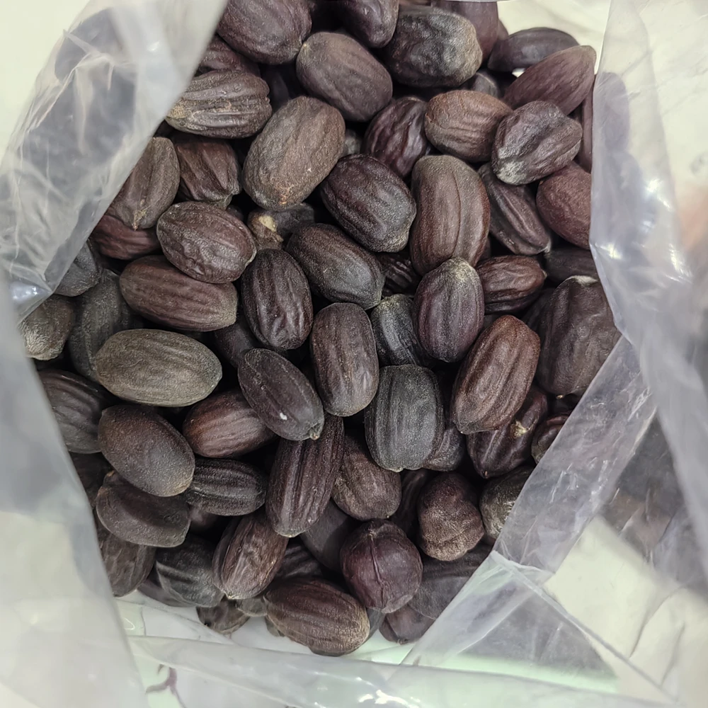 bobioヤマモミジ bobioヤマモミジ Cybergundam - Cybergundam added a new photo.