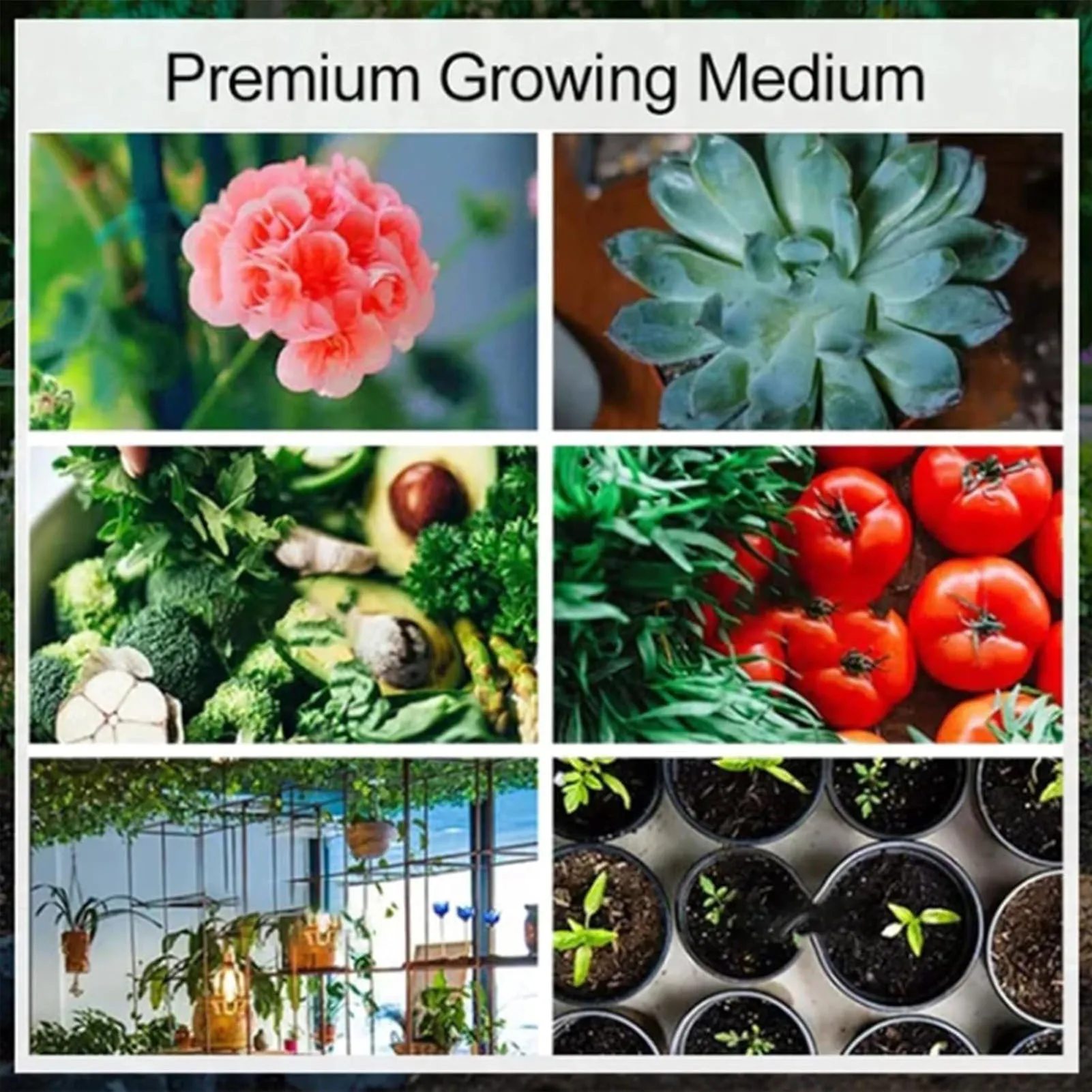 Coconut Bran Soilless Culture Nutrient Soil High Water Retention and Ventilation for Planting Fruits Vegetables