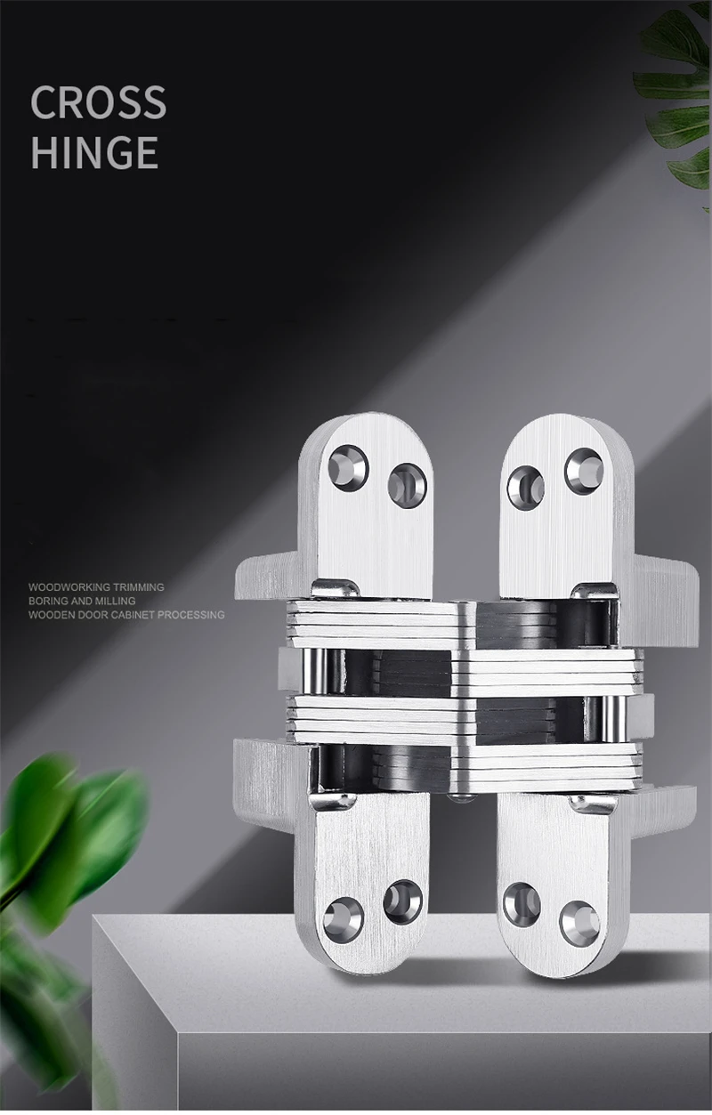 Pack de 2 charnières de porte en acier inoxydable 304, charnières