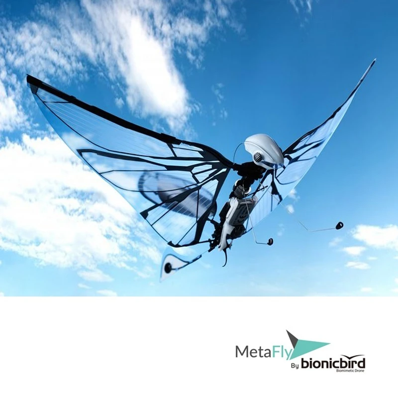 New Pattern Metafly Biomimetic Bird Intelligent Flying Insect Electric Remote Control Small Unmanned Aerial Vehicle Collect Toys 3