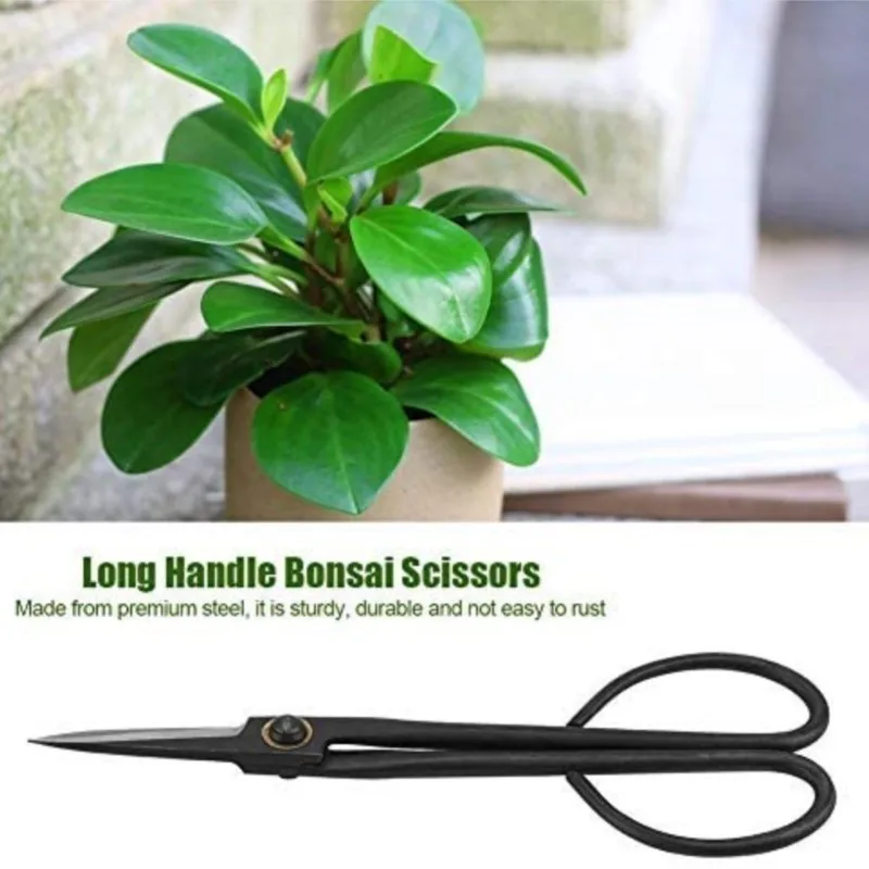 Garden Scissors Pruning Shears Garden Tools Garden Pruner Beginner Bonsai Tool Long Handle Scissors Gardening Plant Branch Shears 20cm Garden Pruning Tools Bonsai Scissors