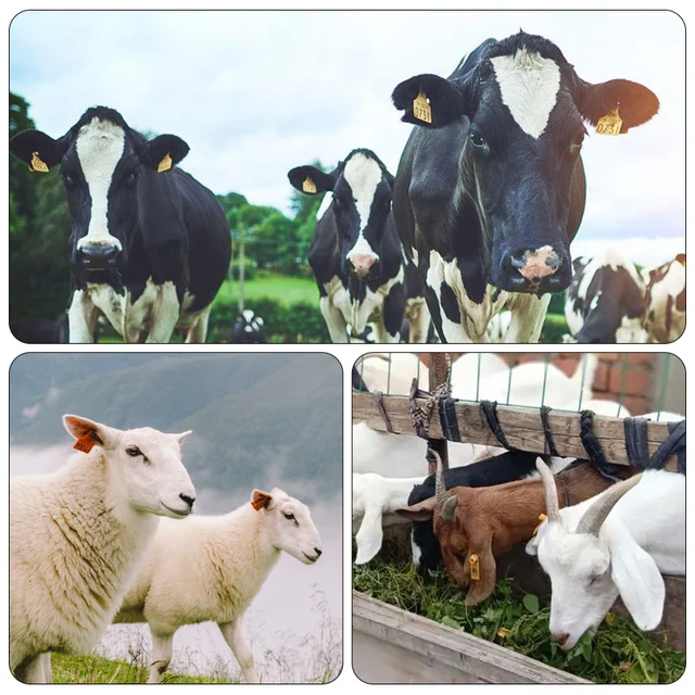 Livestock Safety Ear Tag Removal Tool Hay String Cutter Bandage for Cattle Goat Sheep Pig Tag Removal Knife Veterinary Farm 1Pc 6