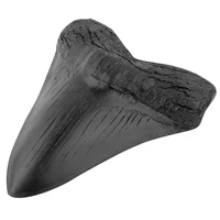Black Shark Teeth Fossil 5inch Giant Megalodon Tooth Easy Clean Resin Shark Teeth Marine Bology Teaching Props for Kids Childs 2