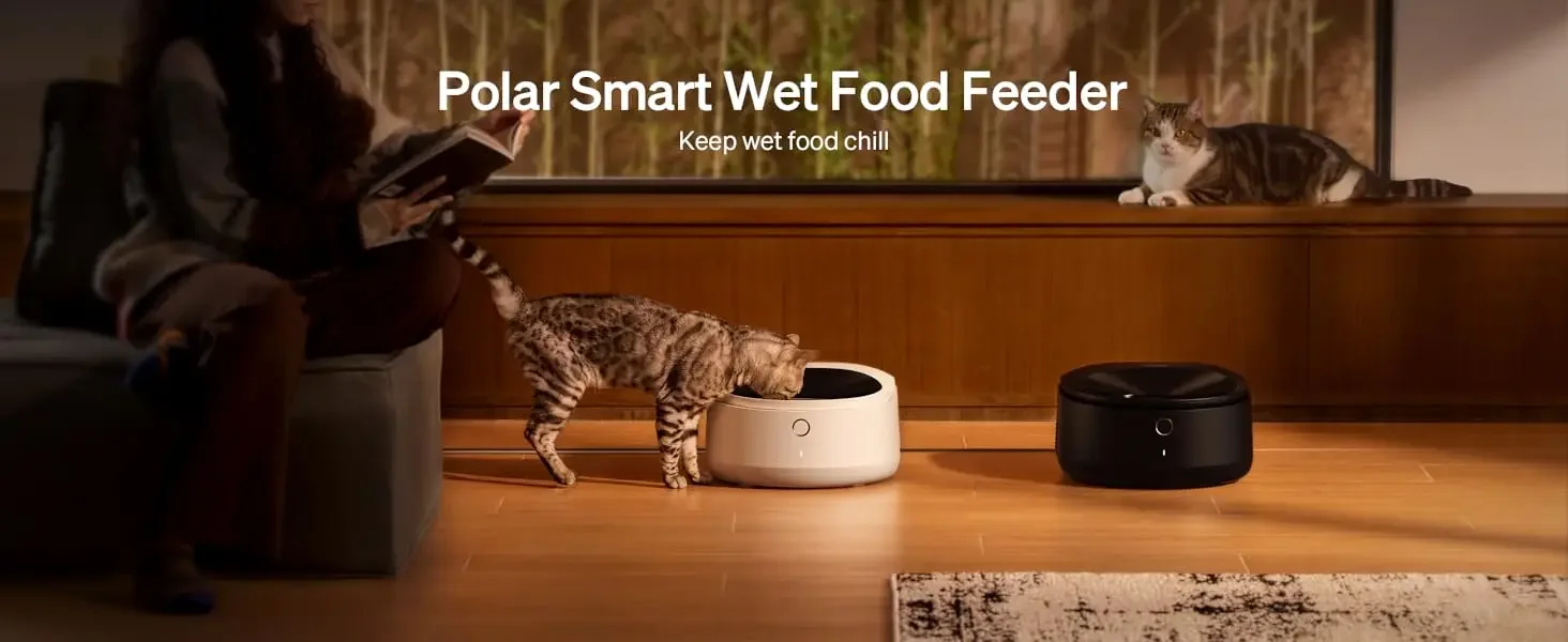 wet food feeder