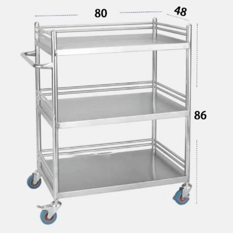 Stainless Steel salon Trolley Hospital Trolley Cart Beauty Salon Rack Operating Room Medical Equipment Instrument Movable Cart