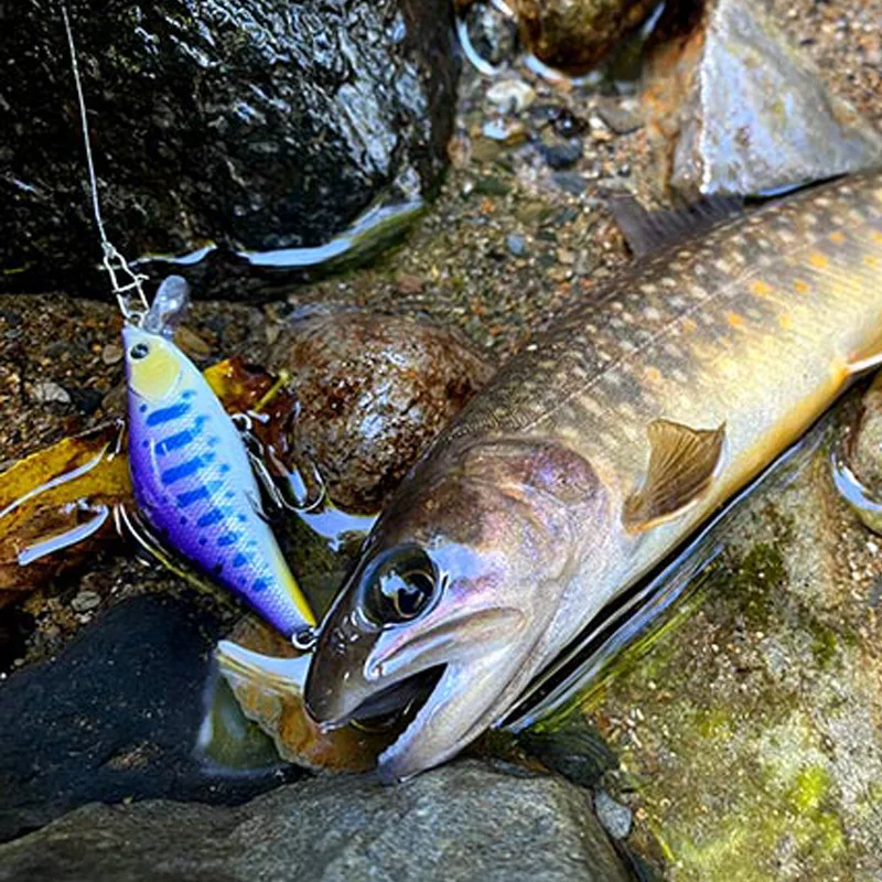 Slide image e3e24d26498542639c0173e9ba14ce69