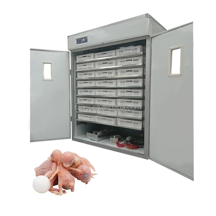 Incubator 48  Chicken  Price In Nepal