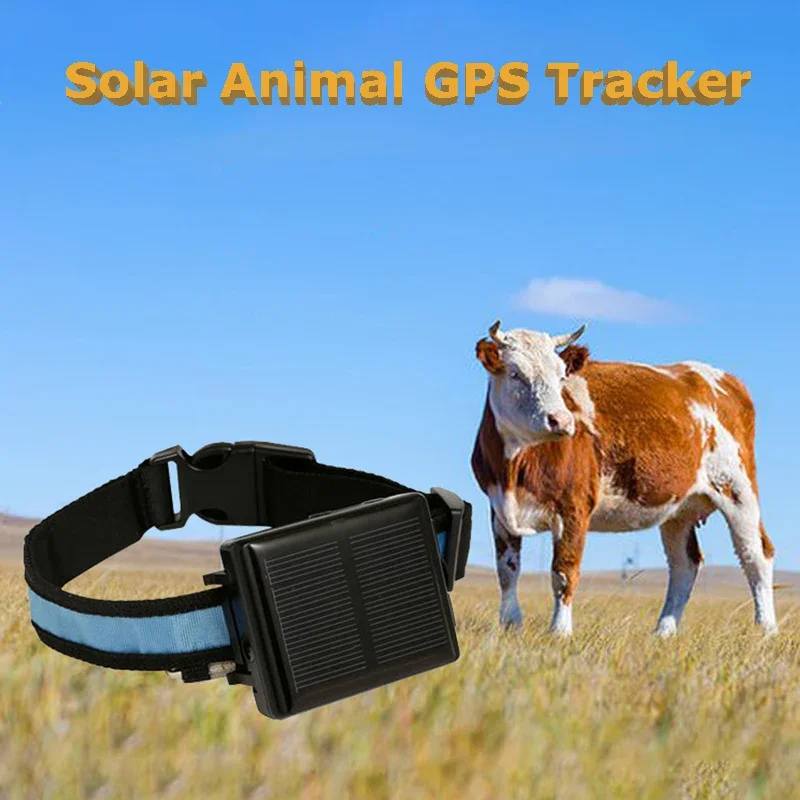 태양열 동물 GPS 추적기, 제거 방지 알람, 휴대용 와이파이 GPS 로케이터, 방수 분실 방지 추적기, 암소 양 말용