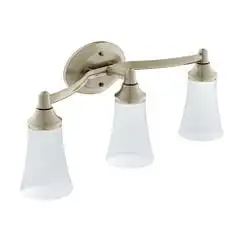 

Brushed nickel light