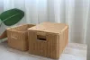 Hand-woven Storage Basket Rattan Storage Tray PP Rattan Basket Bread Fruit Food Breakfast Light Brown With Cover Storage Basket 3