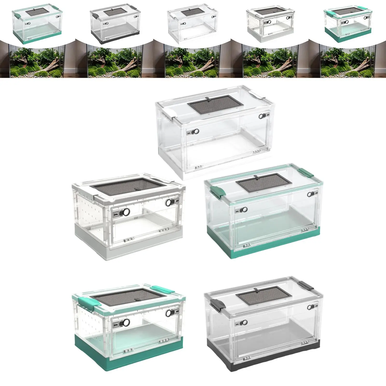 Transparent Foldable Reptile Terrarium for Small Reptiles Lightweight with Sliding Lid Multifunctional Desktop Pet Enclosure