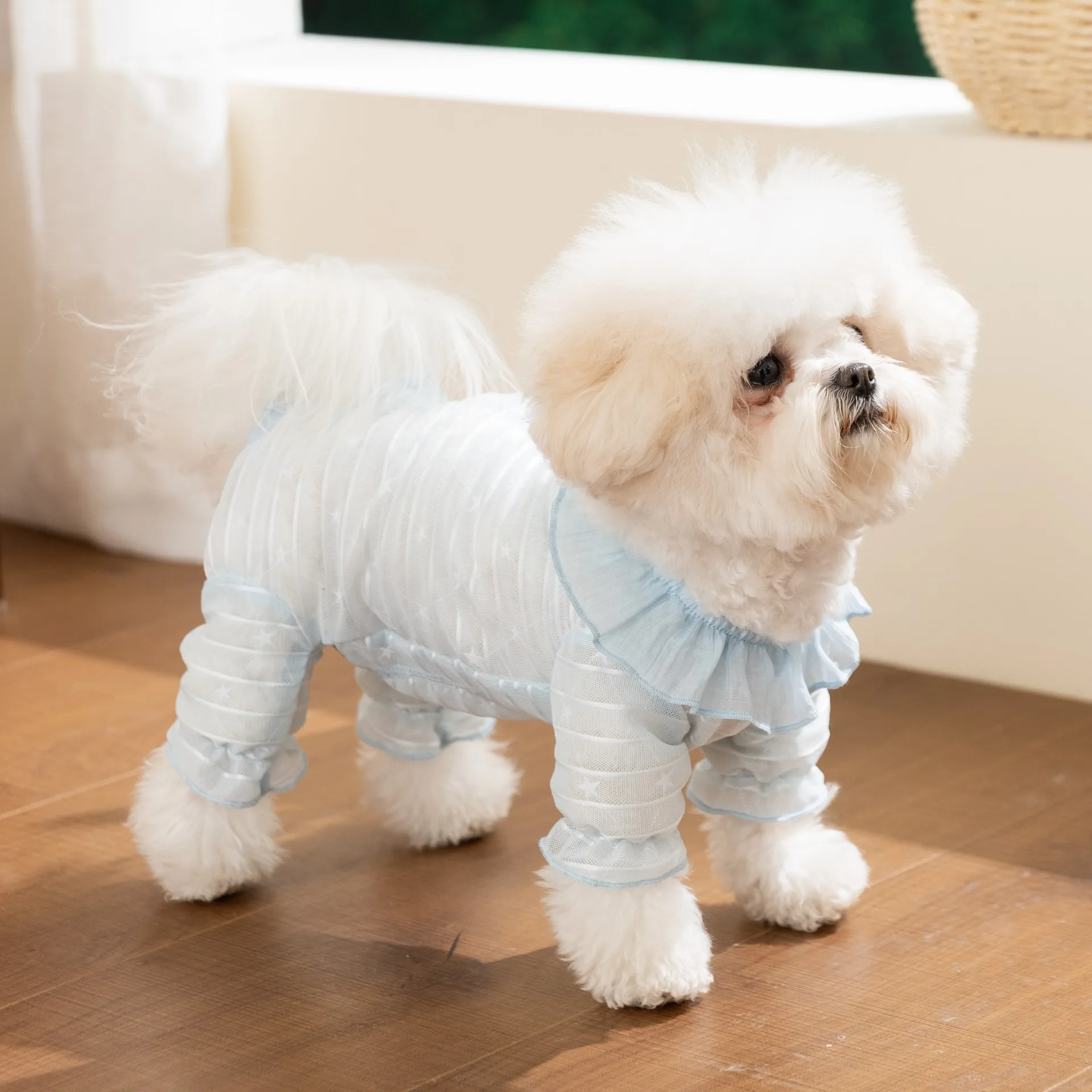 강아지 네발 팬츠 여름 단색 에어컨 옷 소형견 통기성 메쉬 웨이어 테디 점프슈트