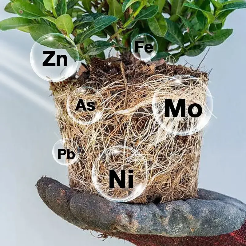 Fast Potting Rooting Plant Nutrient Solution Supplement Garden Tool Plant Nutrient Liquid Promote Sprouting Rapid Flowering plant fertilizer