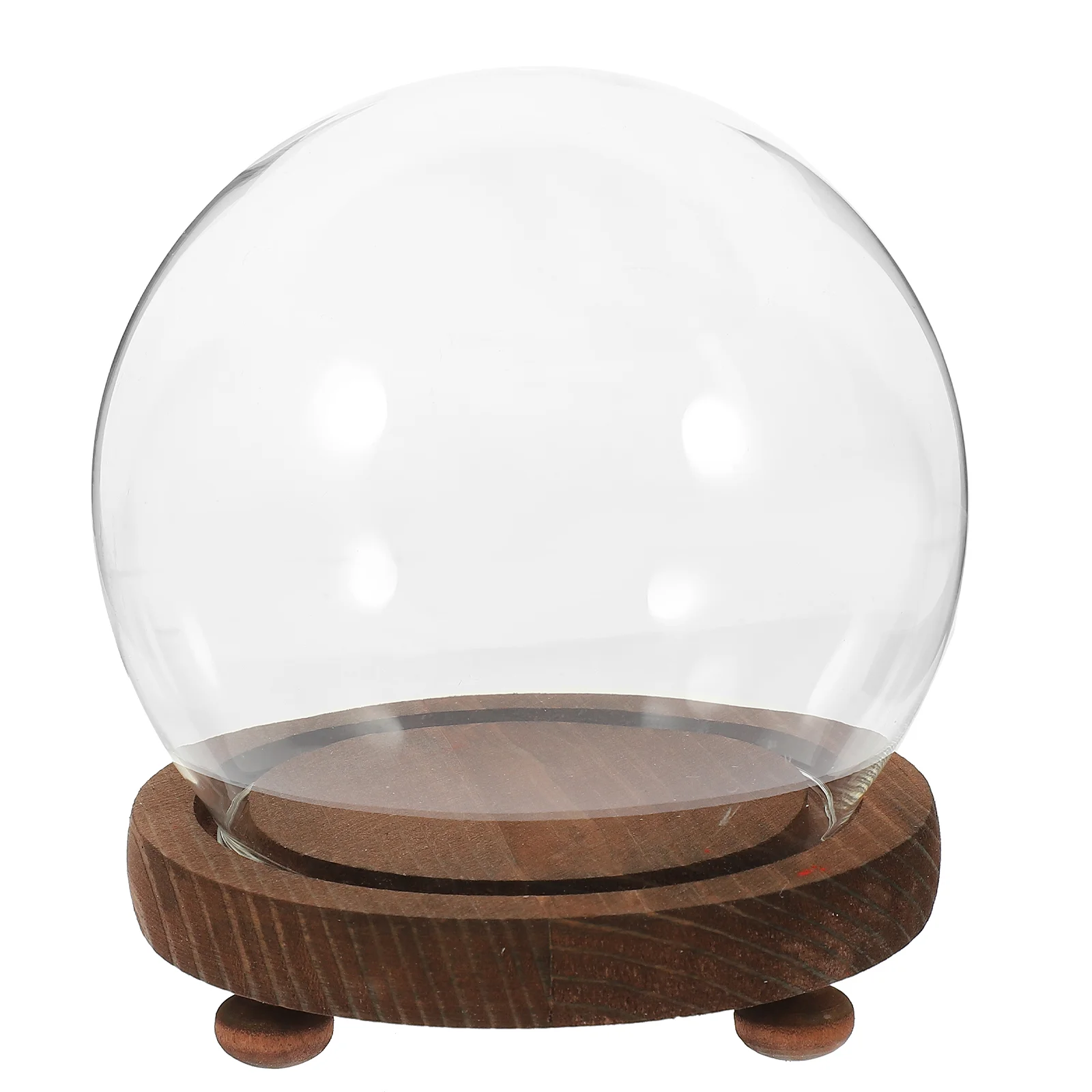 

Transparent Display Case with Wooden Base Eternal Flower Glass Dome Cloche