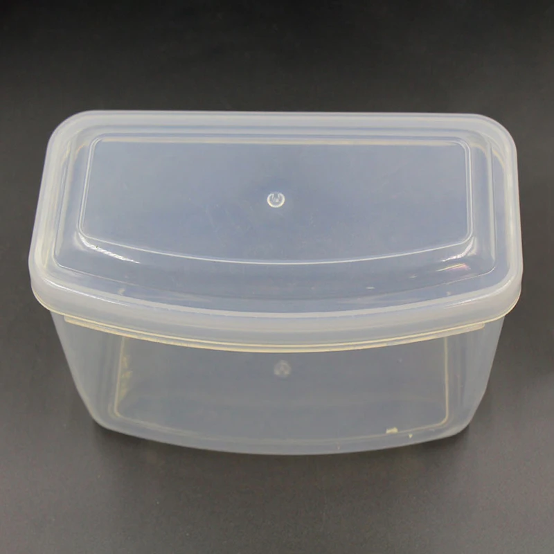 Scuba Diving Mask Hard Storage Case - Transparent Protective Container