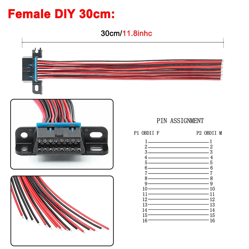 Female 30cm 1