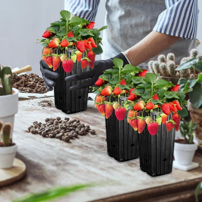 

Deep Nursery Treepots Garden Container Seed Starting Pots 20Pcs Tall Seedling Flower Plant holder Greenhouse accessories