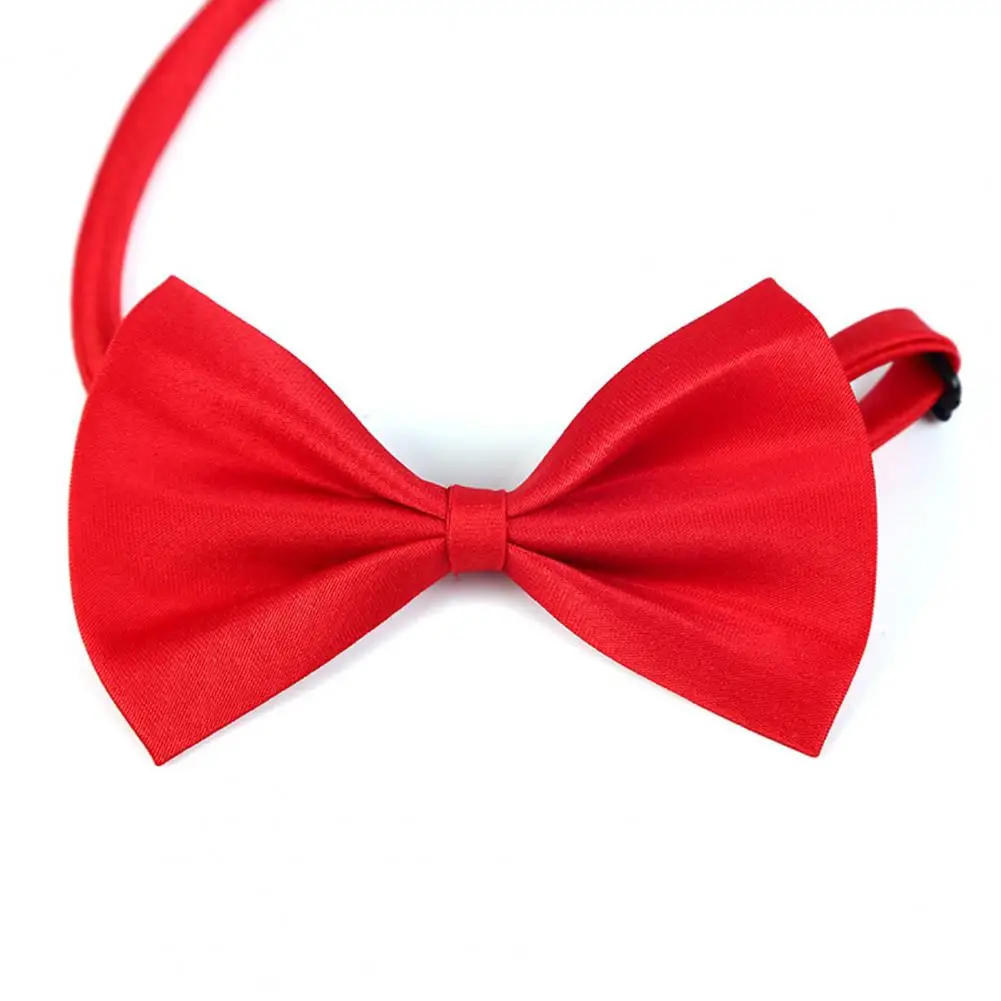 

Three-dimensional Bow Pet Collar Adjustable Pet Bow Tie Collar for Small Medium Comfortable Design Bright Colors Easy Buckle