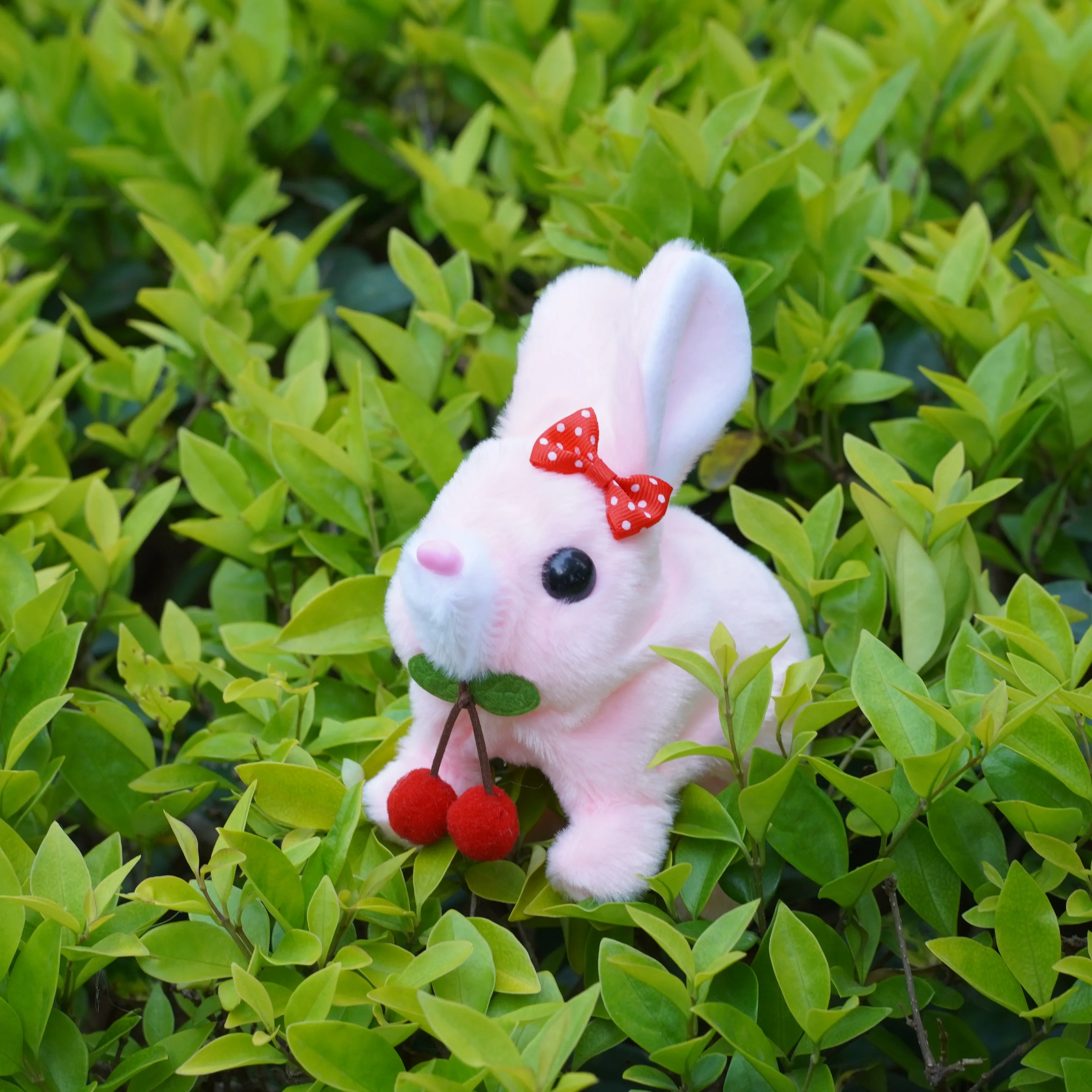 어린이 교육 전기 플러시 장난감 앙고라 토끼 짧은 머리 토끼