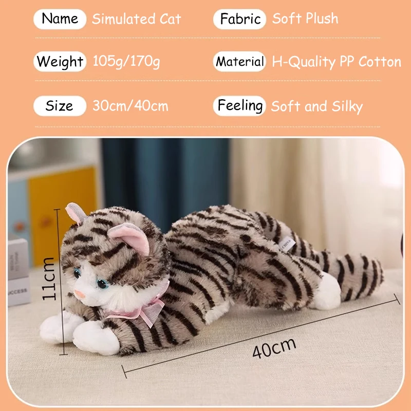 Differences Between Male And Female Are Male Cats Bigger Than