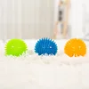 Bite Resistant Pet Chew Ball Toys for Small Large Dogs Elastic Buoyant Squeaky Puppy Big Dog Toy Border Shepherd Collie Supplies 4