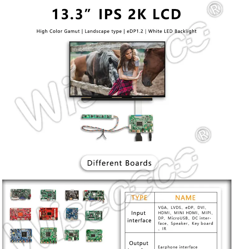 Tela LCD Painel, Módulo Quad-HD, Monitor de