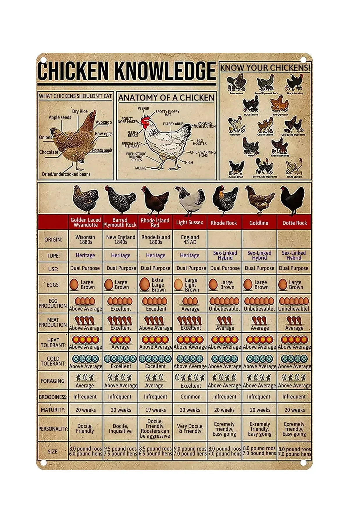 

Chicken Knowledge Metal Tin Sign Chicken Breeds of The World Infographics Retro Poster Plaque for Club Cafe Bar Home Kitchen