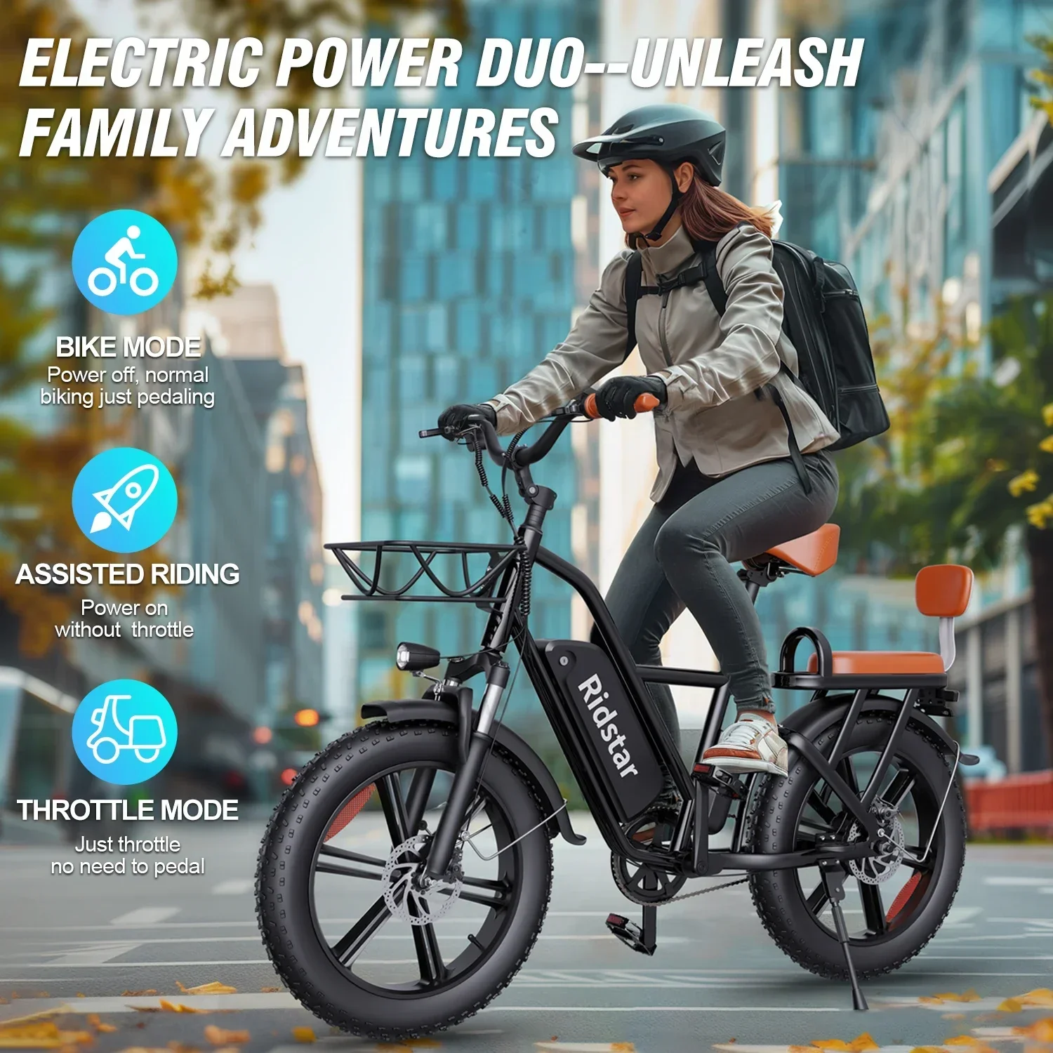 Ridstar FM-001 Electric Bicycle 1000W 48V 15AH Road City Ebike for Adult 20Inch Fat Tire Beach Mountain With Backseat Cycling