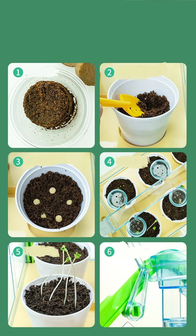 Activity Plant Children'S Planting Homework Experience The Fun