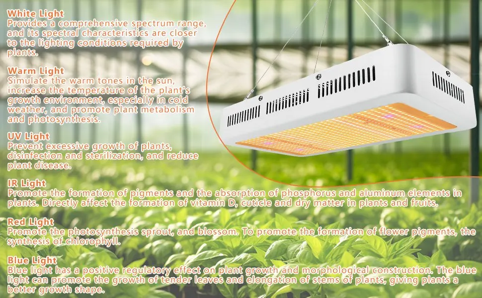 Description Picture 6 of item2024 New 1000W LED Grow Light Full Spectrum Phytolamp for Plant Indoor Hydroponics Flowering Vegs Fruit Growtent Greenhouse