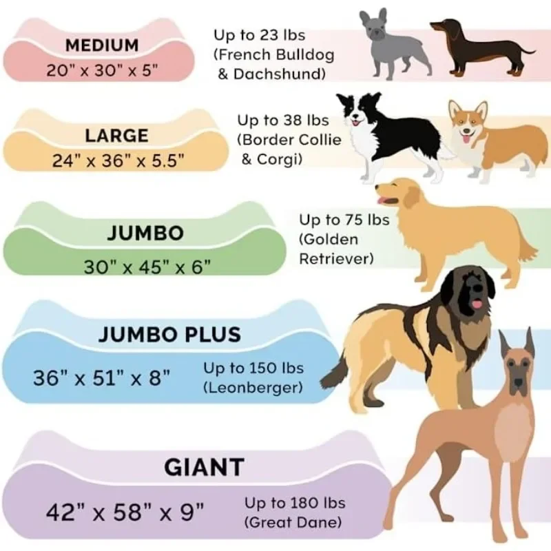 Orthopedic Bed for Large Dogs 4