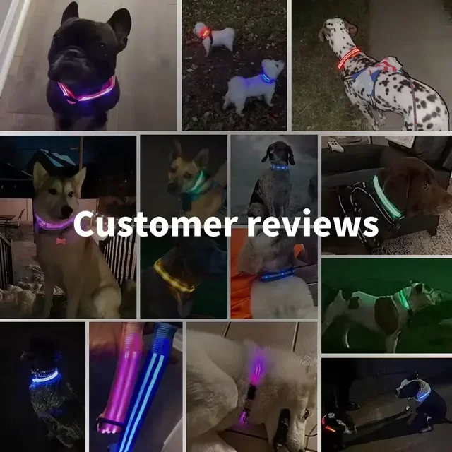 USB Rechargeable LED Dog Collar Flashing Safety Light Adjustable Night Visibility with3 Modes Waterproof for Small to Medium Do 6