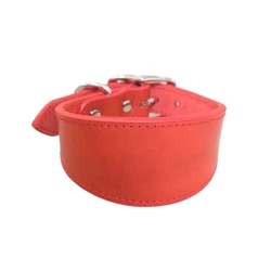Luxurious Wide Padded Genuine Leather Dog Collar - Comfortable Pet Accessory - L (Red)