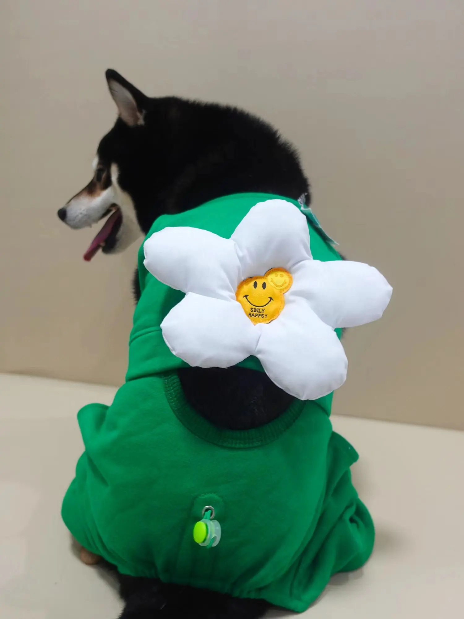 Four-legged Fleece Clothes for Pet - PeticaDeals