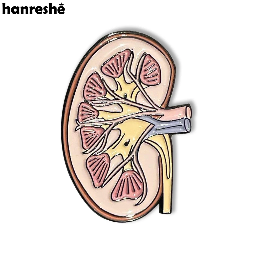 Hanreshe Kidney Anatomy Brooch Enamel Lapel Pins Medical Jewelry Badge Biology Gift for Doctor Nurse Medical Student