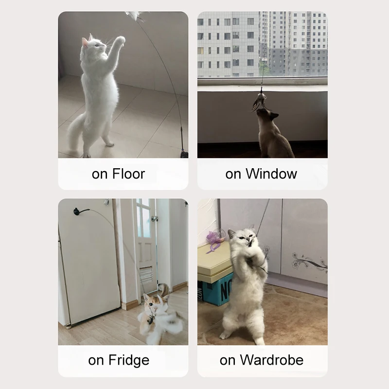 Suction Cup Cat Wand Teaser with Feather Handfree Toys for Cats Kitten interact Pet Product Accessories for Dropshipping