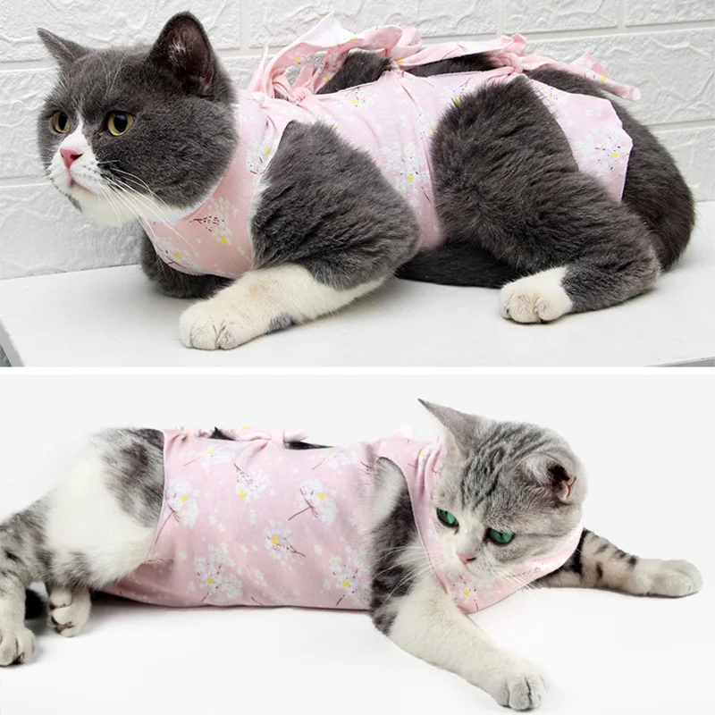 Sqinans Female Cat Surgery Suit Pet Cats Sterilization Clothes Weaning Clothing  Pet Postoperative Vest Anti-Off Anti-bite - Price history & Review, AliExpress Seller - Sqinanshome Store